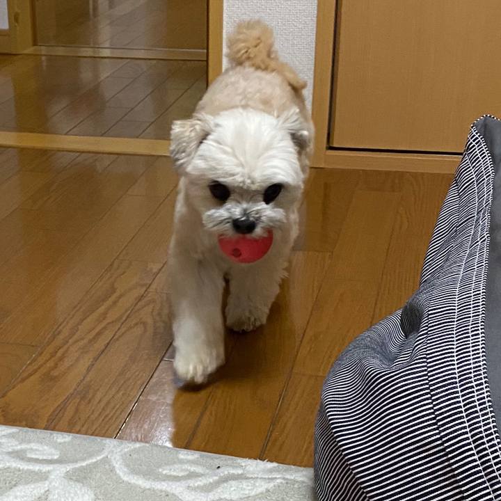 0f4ea792 1ee0 4b82 8171 8cc2bbdaf753 1583152624259