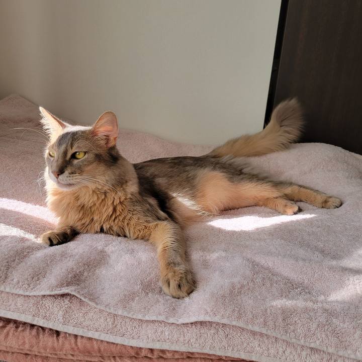 0f4eb364 21fa 4991 9322 7b29c69673b8 1635994066783