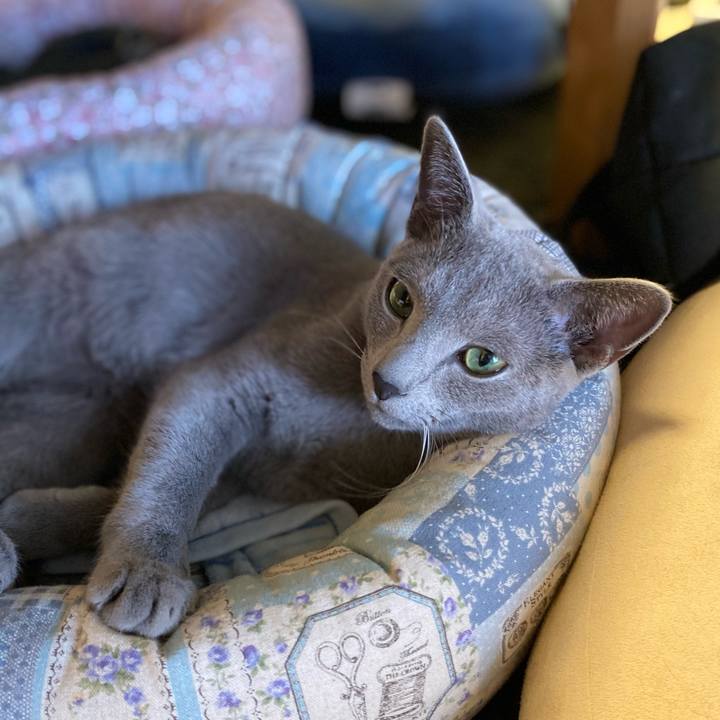 0f4ecbf2 5b4a 48ba 8aa2 424de0a66125 1620802716380