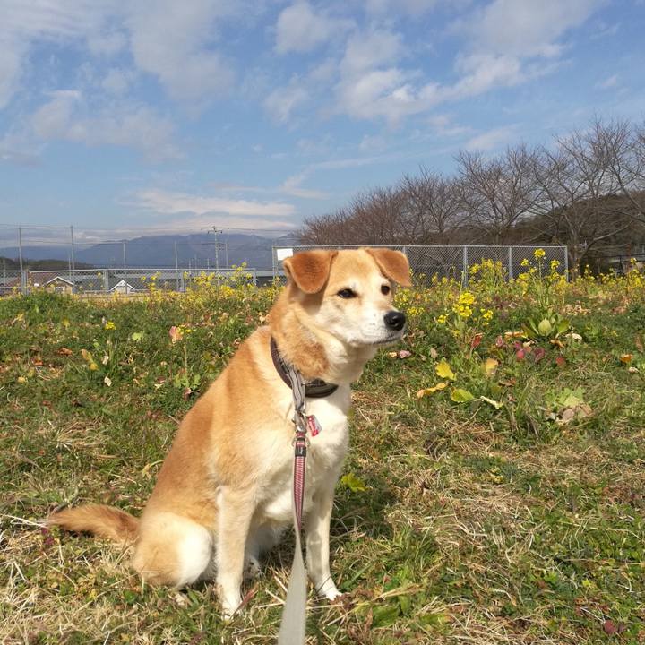 0f4eeb8b 35c3 4b52 8a29 0481bcd10228 1550361894388