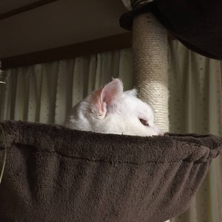 0f4ef8e8 50df 469f 8afa 5b6299641f4c 1520513437821