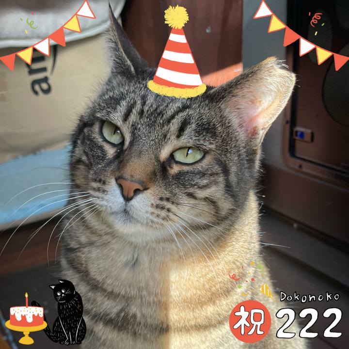 0f4f0ba4 4e72 4481 92b6 3f5f762f6547 1645510628401