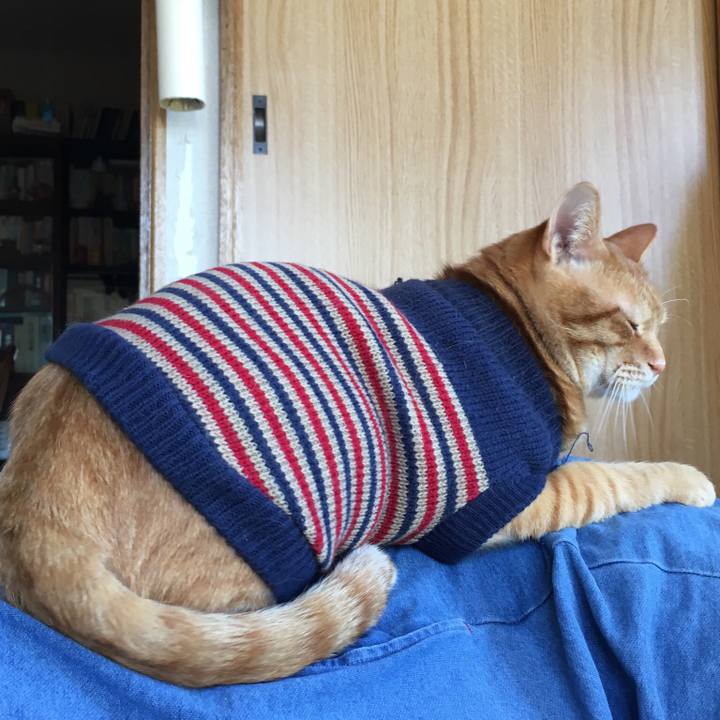 0f4f16b2 15ee 4e9c 9f71 b564f785978f 1541292799760