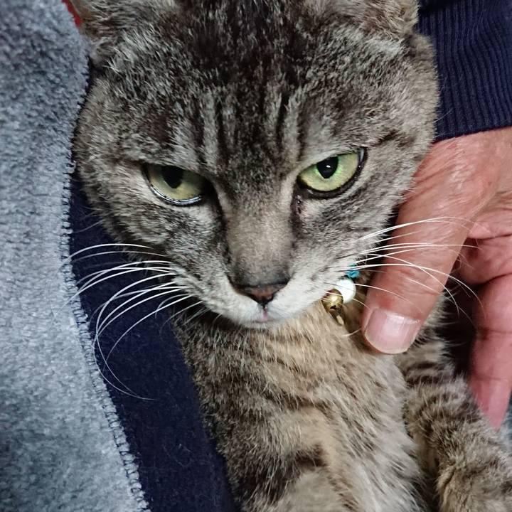 0f4f3846 2a7d 4b47 af9c 5aca63d08878 1552472816221