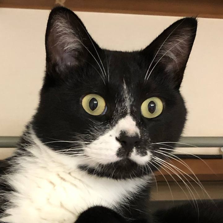 0f4f3b3f f0bf 4b7a bd2d 702368707eaa 1572059698275