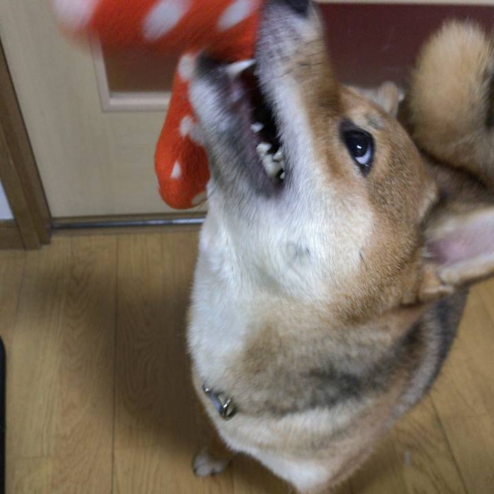 0f4f505a d152 43aa b525 ea23fd9b7944 1519206262783