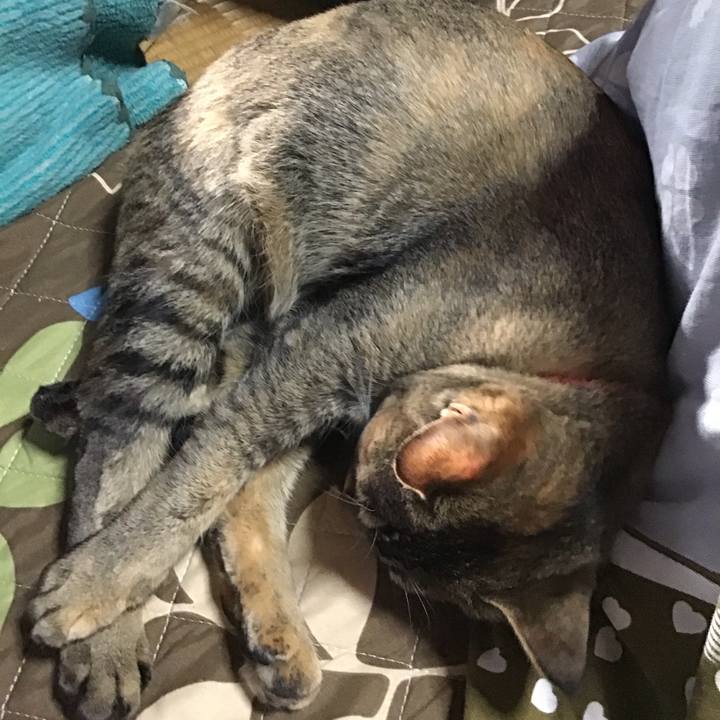 0f4f5aa1 d8be 4176 9c23 faefc23e561a 1585127552056