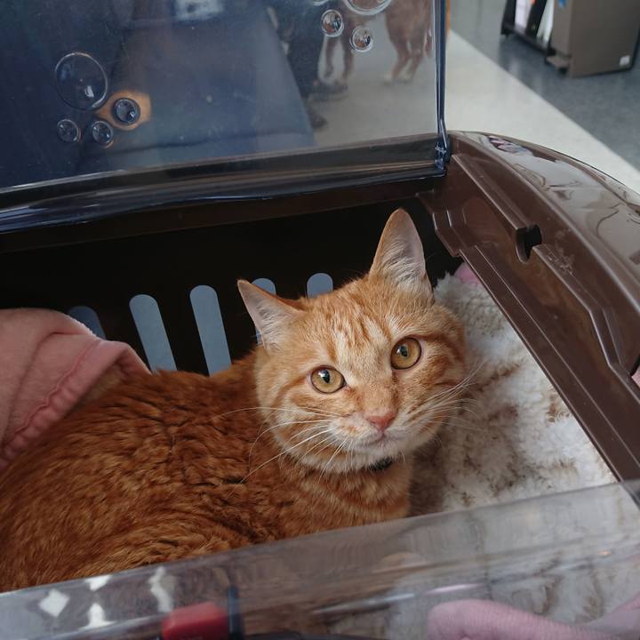 0f4f85a9 a1eb 44f3 9ba9 3348cd4df0aa 1655078541359