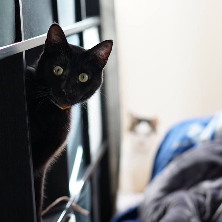 0f4f951d e19e 4373 b4d7 3f4ffc2c8727 1548554881565