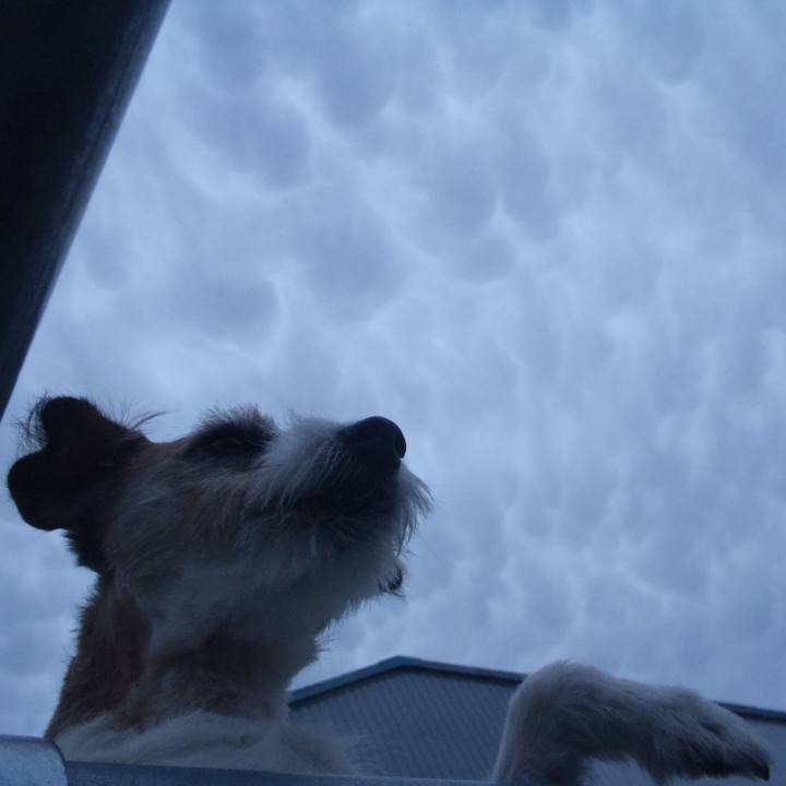 0f4fbfed 5e4c 44c2 966e a94e72518483 1538299044417