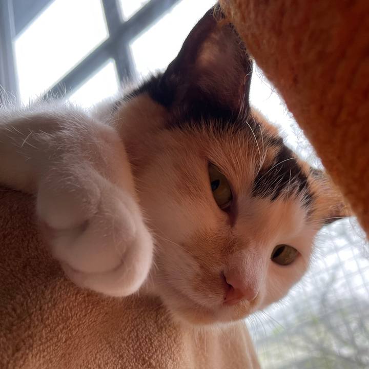 0f4fd7cf 8e41 4df7 a87e e3fa002ee648 1712622993075