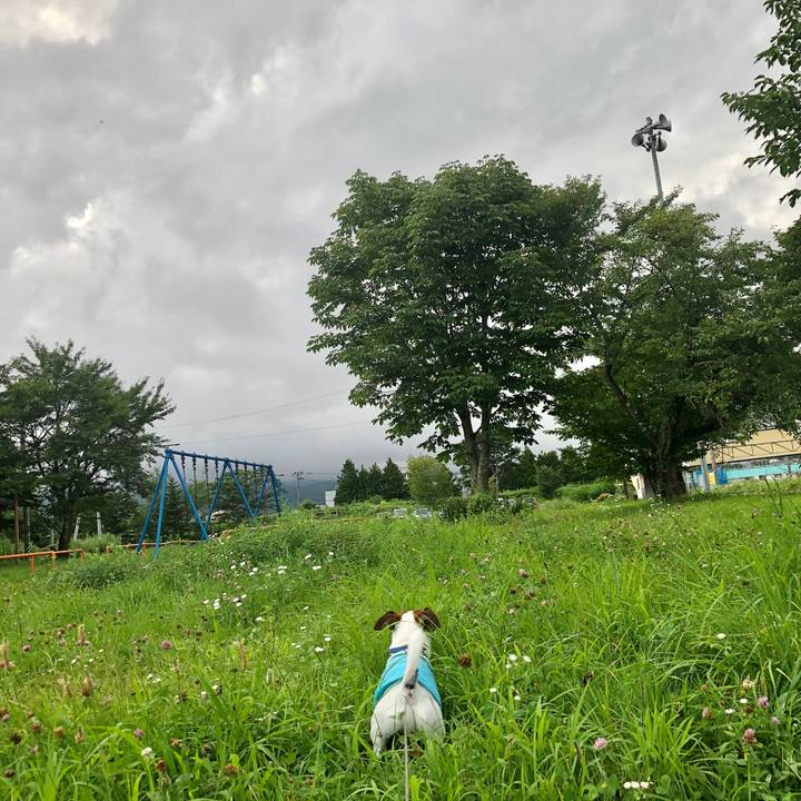 0f50113d d1e8 4dd7 a8fa aa25c992d3d0 1597228873751