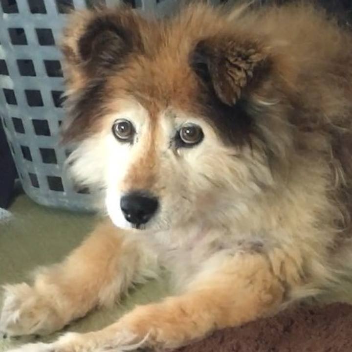 0f5014a4 50c3 40ba 945b 094f3e96bd7d 1594194224175