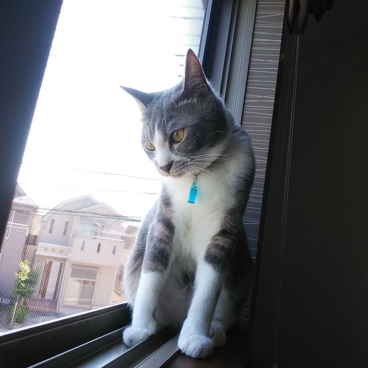 0f506abb 0bcb 4e5b af78 6e1fb66c143a 1590710218070