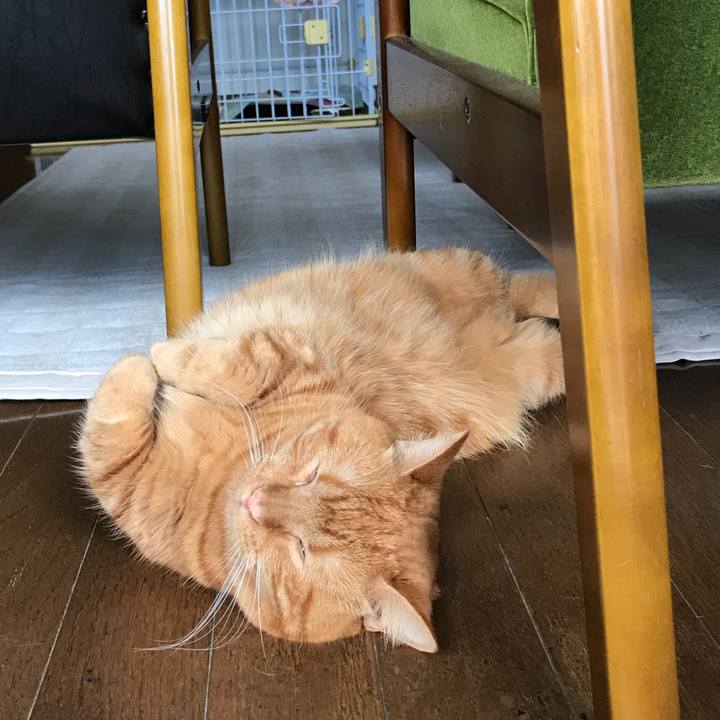 0f50769c e5e1 406a b91d 6d24342bc3b0 1535604982237