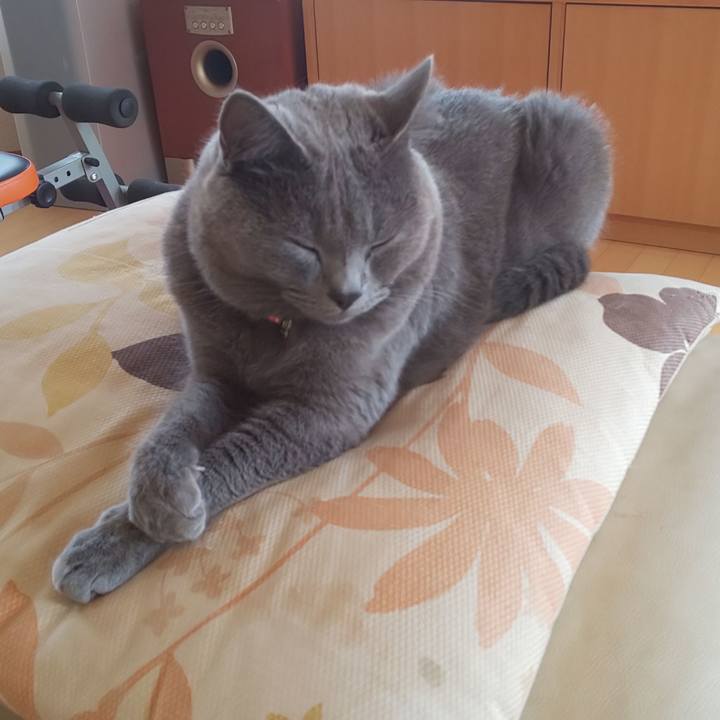 0f5081cd 401c 4ab1 b122 032c44331e90 1536310635350