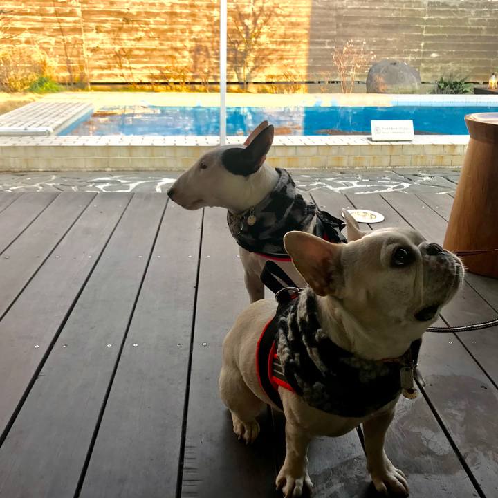 0f508a0c 1241 413c b599 6c04d8213cd2 1519624464688