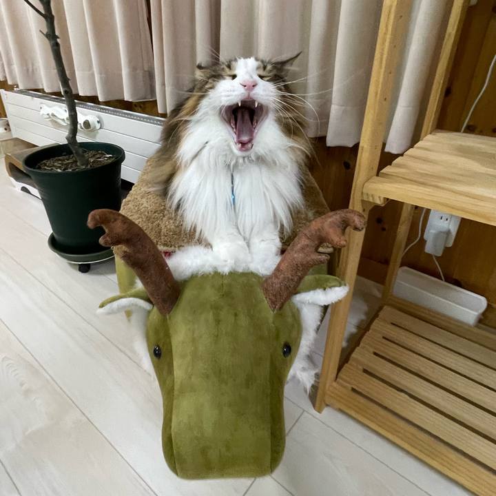 0f50bf01 d3f2 4bd2 9176 529fb35b68bf 1707938751741