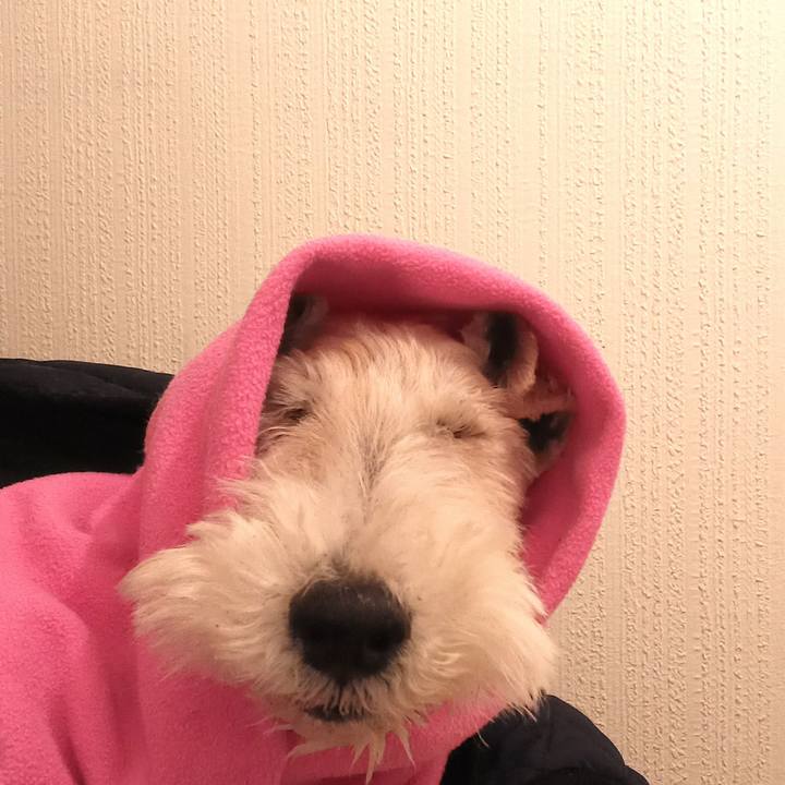 0f50d476 f5c5 4048 9b4d 31452dfcc6d2 1639747839354