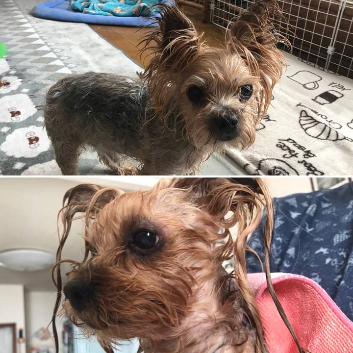 0f512a9c 6198 482e 8e0c f92764f92a25 1612688860426