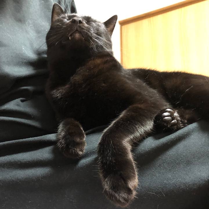 0f512f10 b8c3 4c2c 8a3d 7ffda9228de2 1702737069516