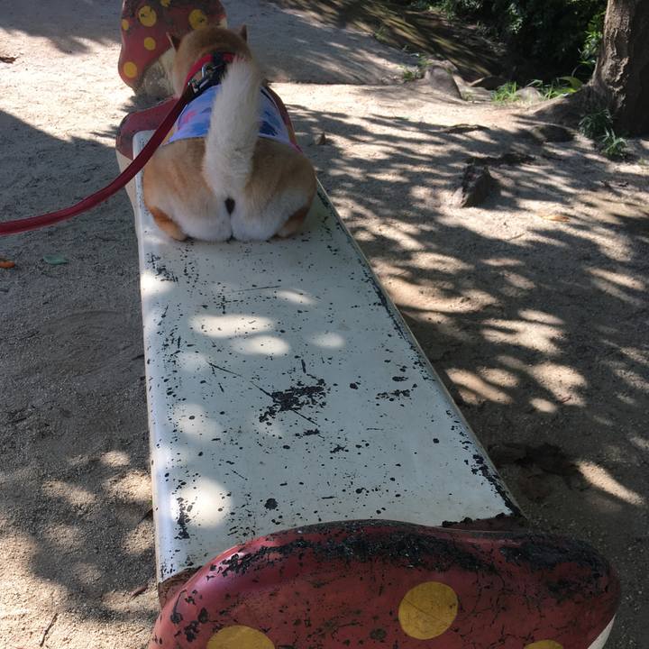 0f516346 b72d 4ed3 9de2 60087461bfac 1596330151807