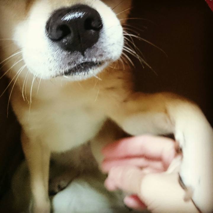 0f5184ce 5a4c 43aa bbd9 6d8739395f35 1523534215108