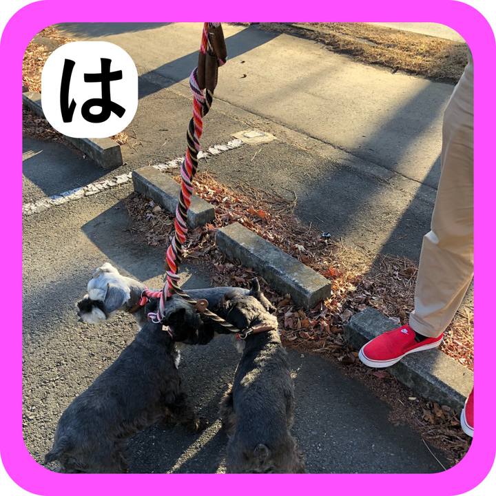 0f519b62 d63f 4572 9241 827f4808ec9a 1514803348652