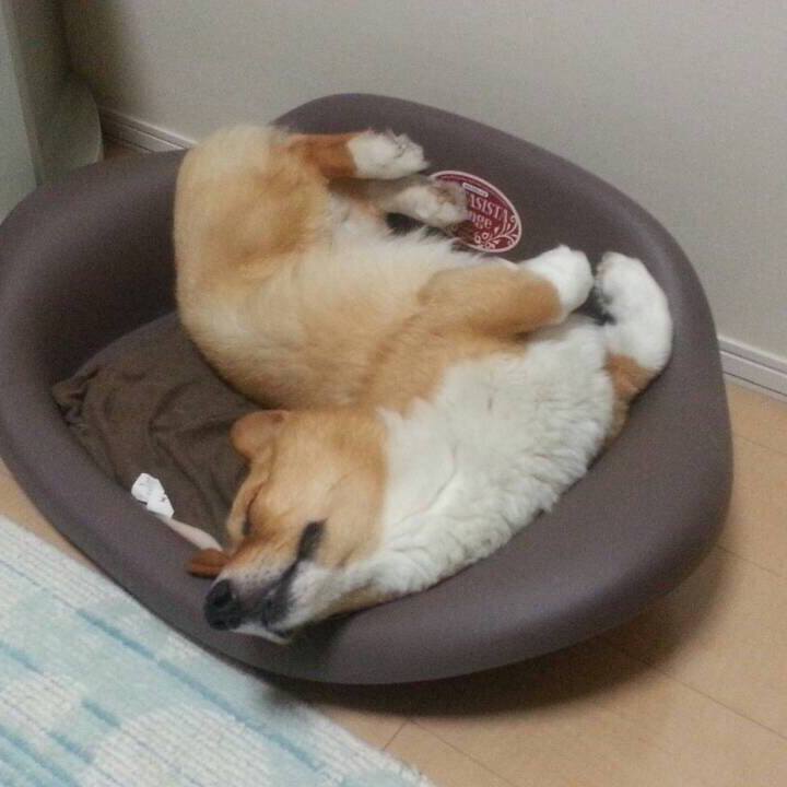 0f51b517 a356 4404 b118 cfe48ffb1c37 1588215003057