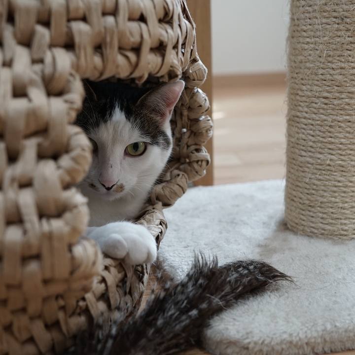 0f522a1b d13b 4673 a5d5 385802a93de3 1560815254049