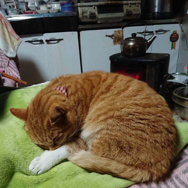 0f524ecf 1e96 463c b856 8cda1931b3b9 1608360723617