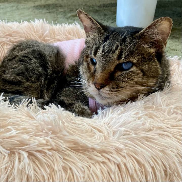 0f525794 1953 4641 aa20 53e5efb7c702 1685798684431