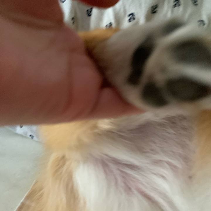 0f526352 c6ef 4de0 aeb0 1e8ffa304ce1 1581407135733