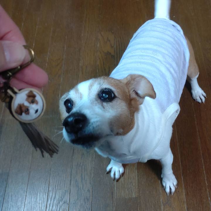 0f528b54 68a7 422f bb82 f05ad43a2124 1762475344398