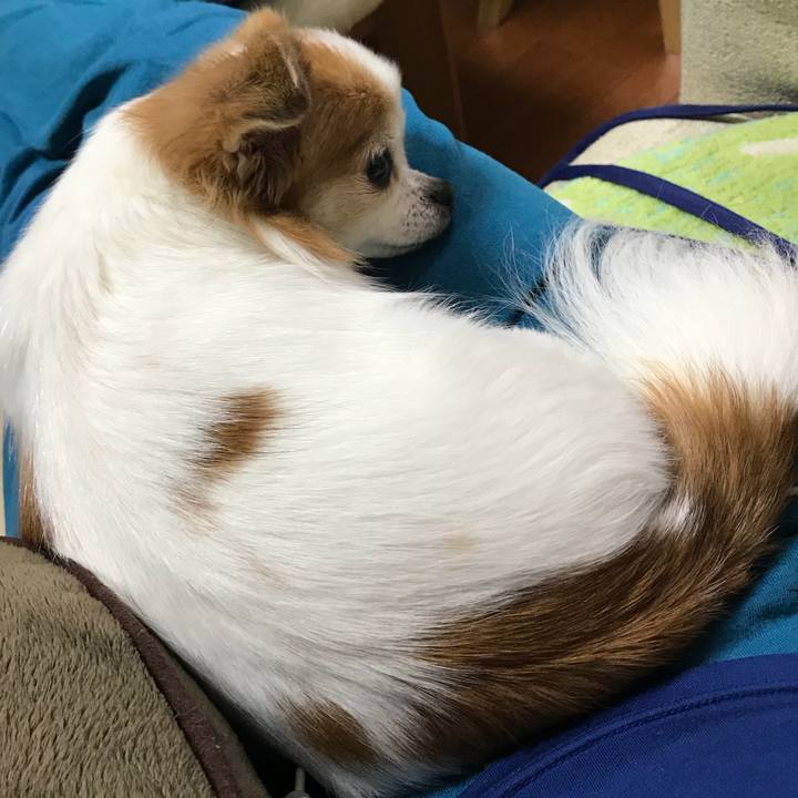 0f52bcfe b76c 41ad 8a27 1efe8582f372 1544355853637