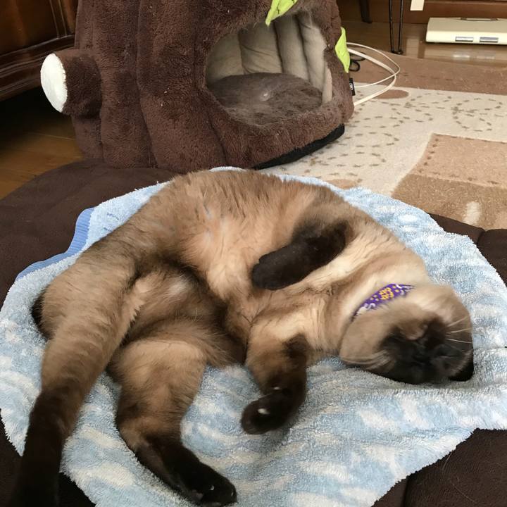 0f537343 1030 423b a603 88e0a6ec108a 1530148539751