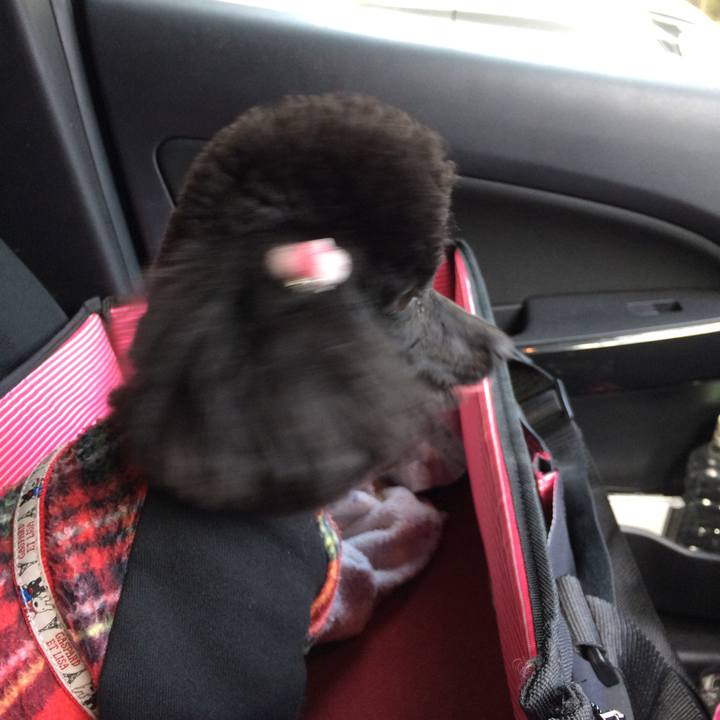 0f537ef9 732b 4dae 8332 c163ae2aa83d 1542615265805