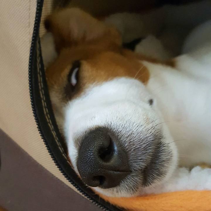 0f538929 fdf4 4031 b424 0b0629a2692c 1564377412543