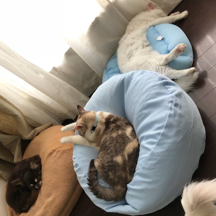 0f53a434 e054 449c 9213 a21e041a43a0 1526528414444