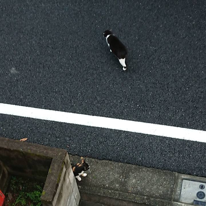 0f53bdcf 41aa 447e a052 722c41ce8dc8 1633235427361