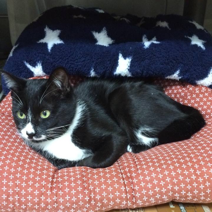 0f53bf41 8196 4df8 8e8c 237f1f25f0f8 1510112668398