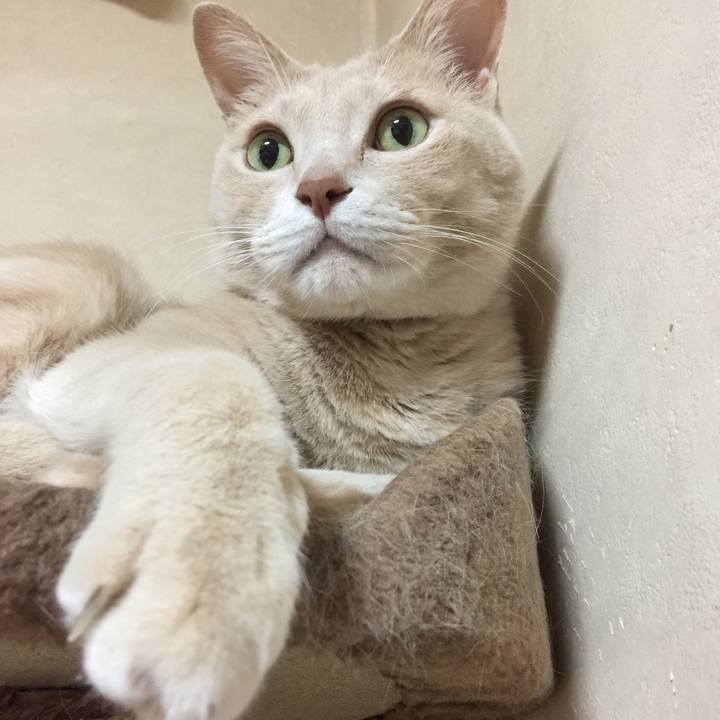 0f53dcb6 2366 48f0 8549 082727ddda89 1579777592369