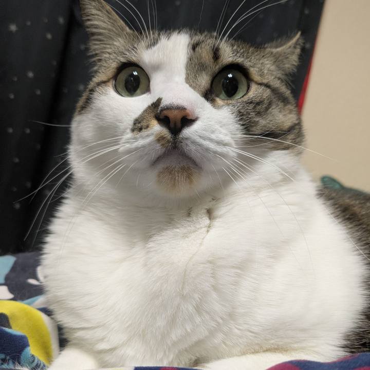 0f53eb95 449f 4bc0 8674 f98caac36e30 1740915329569