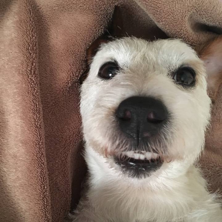 0f54152d 61bb 47ee be85 7983f136f043 1533092168611