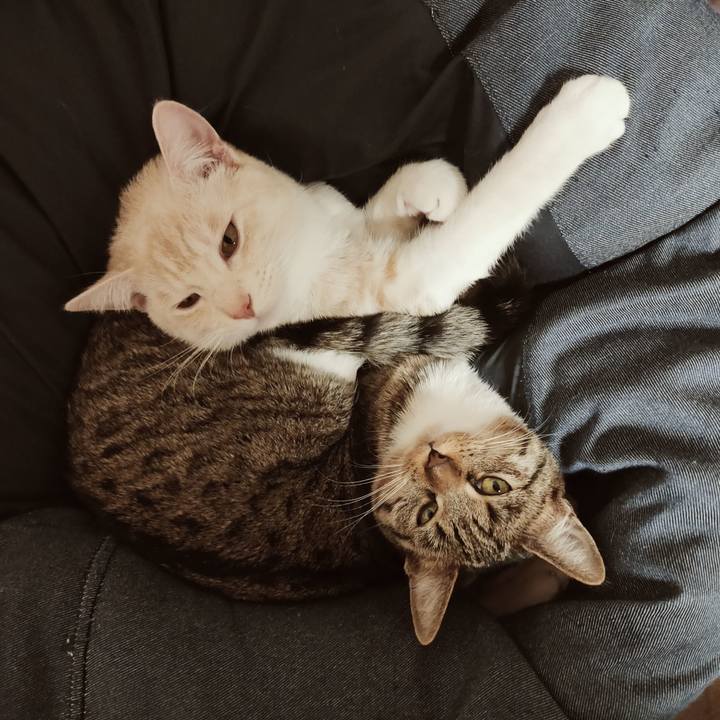 0f5422e1 8395 4416 94e1 a9231a343489 1645418889965