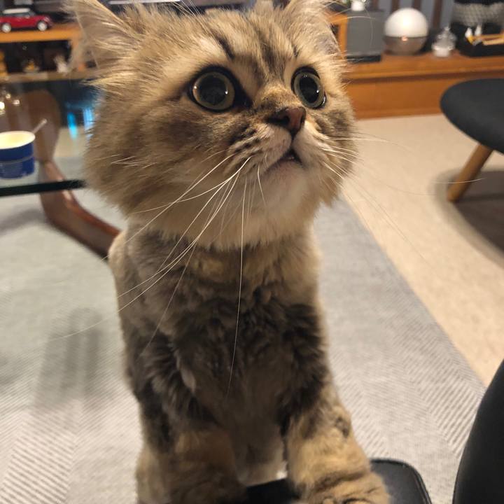 0f542d16 8b65 4828 b26a 0169ba4a271b 1560861252613