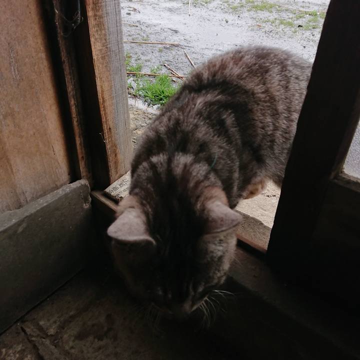 0f5466e6 18f1 4f72 ae61 d41518d995f3 1553398949940