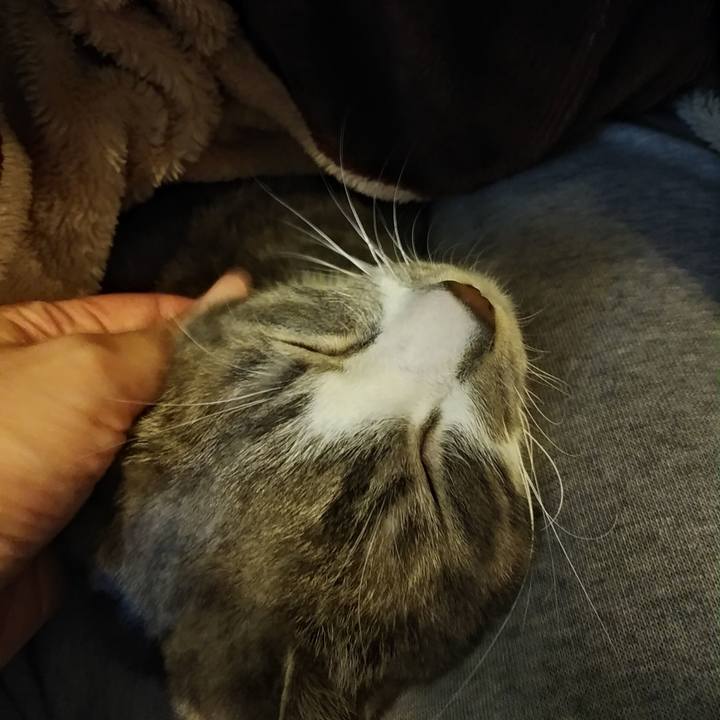 0f54ab2e 74b2 4a5e 8617 0450dadd2226 1587712075555