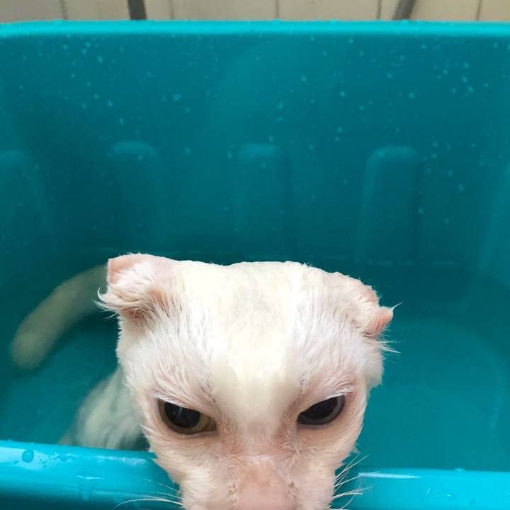 0f54f86e 46fc 485d a8ca 8fd3e3248373 1538870374546