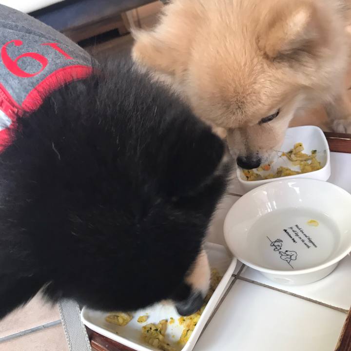 0f550774 7109 46b4 89fd 54b3a9c50afe 1610268231677